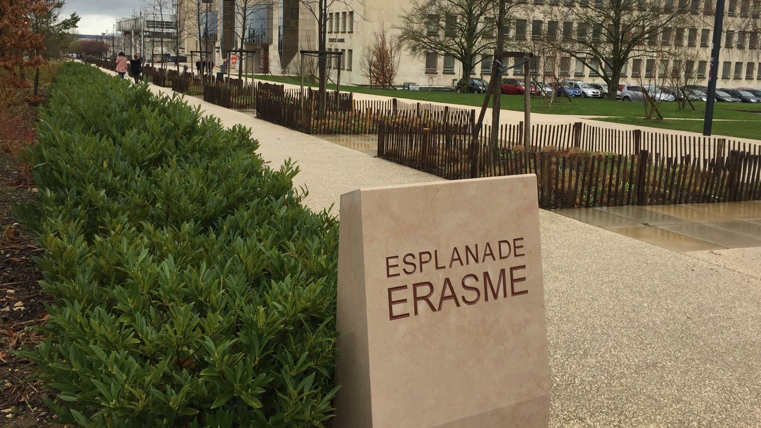 Dijon : le quartier Université en fête ce samedi